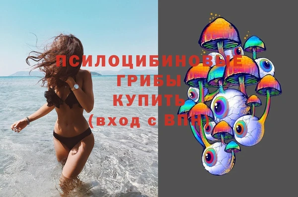 крисы Беломорск