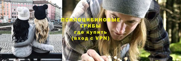 jwh Белокуриха