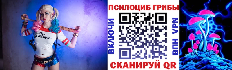 Галлюциногенные грибы ЛСД где купить наркоту Брюховецкая